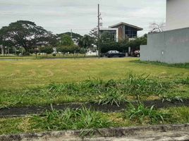  Land for sale in Calamba City, Calabarzon, Calamba City