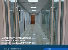 1,633 SqM Office for sale in Mandaluyong City, Eastern District, Mandaluyong City