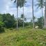  Grundstück zu verkaufen in Daanbantayan, Central Visayas, Daanbantayan