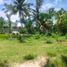  Grundstück zu verkaufen in Daanbantayan, Central Visayas, Daanbantayan
