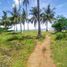  Grundstück zu verkaufen in Daanbantayan, Central Visayas, Daanbantayan