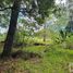  Land for sale in Mineral Del Chico, Hidalgo, Mineral Del Chico