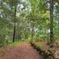  Land for sale in Mineral Del Chico, Hidalgo, Mineral Del Chico
