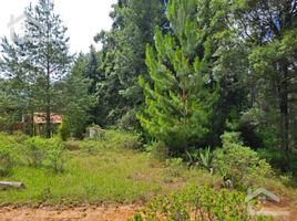  Land for sale in Mineral Del Chico, Hidalgo, Mineral Del Chico