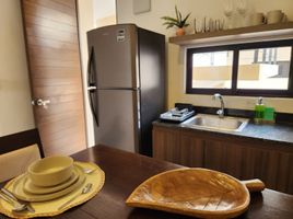 Appartement 1 chambre à louer à Merida, Yucatan, Merida