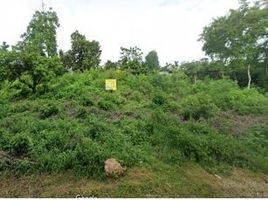  Land for sale in Dauis, Bohol, Dauis