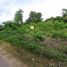  Land for sale in Bohol, Central Visayas, Dauis, Bohol