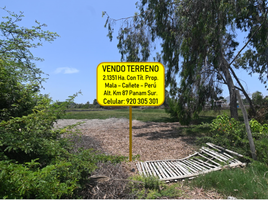  Land for sale in Mala, Lima, Mala