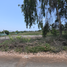 Land for sale in Mala, Lima, Mala