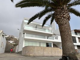 10 Habitación Villa en venta en Lima, Pucusana, Lima, Lima