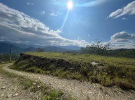  Land for sale in Loja, Malacatos Valladolid, Loja, Loja