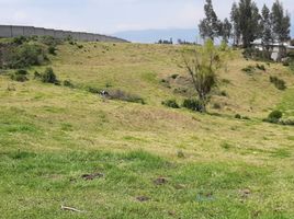  Terrain for sale in Quito, Pichincha, Alangasi, Quito