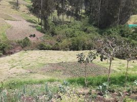  Land for sale in Alangasi, Quito, Alangasi