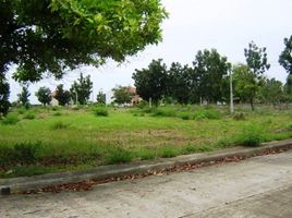  Terreno (Parcela) en venta en Lapu-Lapu City, Central Visayas, Lapu-Lapu City, Cebu
