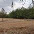  Land for sale in Omitlan De Juarez, Hidalgo, Omitlan De Juarez