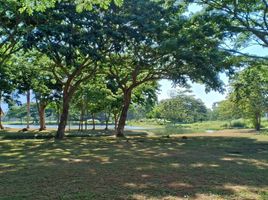  Land for sale in Tiaong, Quezon, Tiaong