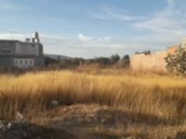 Terreno (Parcela) en venta en Irapuato, Guanajuato, Irapuato