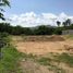  Land for sale in Tomas De Berlanga Santo Tomas, Galapagos, Tomas De Berlanga Santo Tomas, Isabela, Galapagos