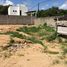  Land for sale in Tomas De Berlanga Santo Tomas, Galapagos, Tomas De Berlanga Santo Tomas, Isabela, Galapagos