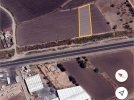 在Irapuato, Guanajuato出售的 土地, Irapuato