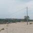 Terrain à vendre à Tambo Grande, Piura, Tambo Grande, Piura, Piura, Pérou