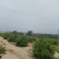 Terrain à vendre à Tambo Grande, Piura, Tambo Grande, Piura, Piura, Pérou