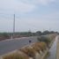Terrain à vendre à Tambo Grande, Piura, Tambo Grande, Piura, Piura, Pérou