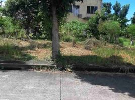  Grundstück zu verkaufen in Lapu-Lapu City, Central Visayas, Lapu-Lapu City