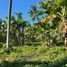  Terrain for sale in Sariaya, Quezon, Sariaya