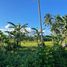  Terrain for sale in Sariaya, Quezon, Sariaya