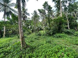  Terrain for sale in Sariaya, Quezon, Sariaya