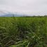  Land for sale in Oriental Mindoro, Mimaropa, Socorro, Oriental Mindoro