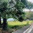  Land for sale in Oriental Mindoro, Mimaropa, Socorro, Oriental Mindoro