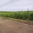  Land for sale in Oriental Mindoro, Mimaropa, Socorro, Oriental Mindoro