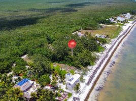  Grundstück zu verkaufen in Puerto Morelos, Quintana Roo, Puerto Morelos, Quintana Roo