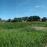  Land for sale in Muntinlupa City, Metro Manila, Muntinlupa City