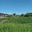  Land for sale in Muntinlupa City, Metro Manila, Muntinlupa City
