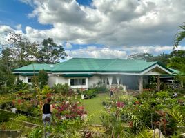 4 Bedroom House for sale in Central Visayas, Cebu City, Cebu, Central Visayas