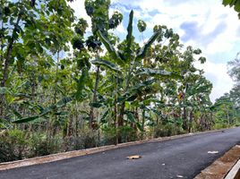  Tanah for sale in Kerjo, Karanganyar, Kerjo