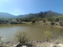  Terreno (Parcela) en venta en Huimilpan, Querétaro, Huimilpan
