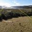  Land for sale in Los Lagos, Chonchi, Chiloe, Los Lagos