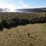  Land for sale in Los Lagos, Chonchi, Chiloe, Los Lagos