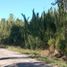  Terreno (Parcela) en venta en Chile, Villarrica, Cautín, Araucanía, Chile