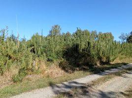  Terreno (Parcela) en venta en Chile, Villarrica, Cautín, Araucanía, Chile