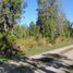  Terreno (Parcela) en venta en Chile, Villarrica, Cautín, Araucanía, Chile