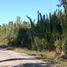  Terreno (Parcela) en venta en Chile, Villarrica, Cautín, Araucanía, Chile