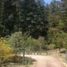  Land for sale in Mineral Del Chico, Hidalgo, Mineral Del Chico