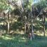  Terrain for sale in Rosario, Batangas, Rosario