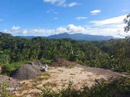  Terrain for sale in Rosario, Batangas, Rosario