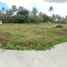  Land for sale in Alfonso, Cavite, Alfonso